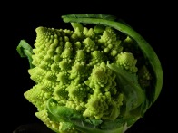 Foto: broccoli